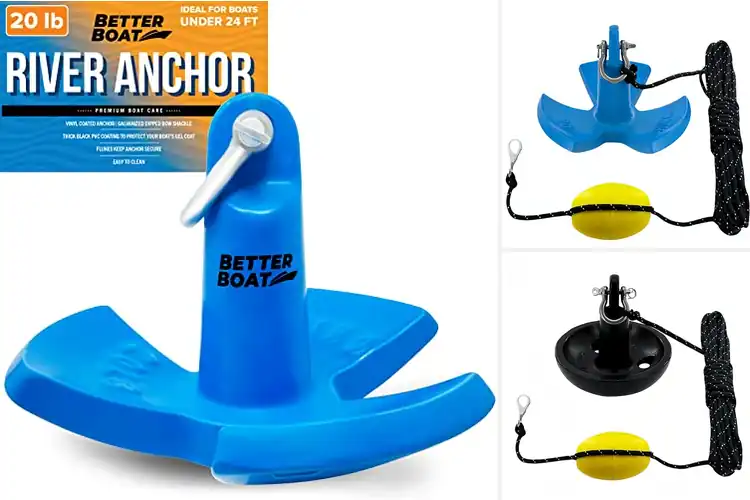 Detailed view of Best 20 Lb Anchor With Shackle