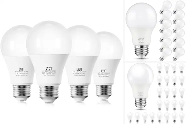 Detailed view of Best 6000K Cool White LED Bulbs