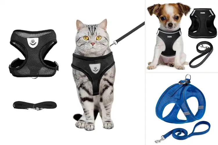 Detailed view of Best Adjustable Pet Vests: Top 10 Picks for Safety & Comfort
