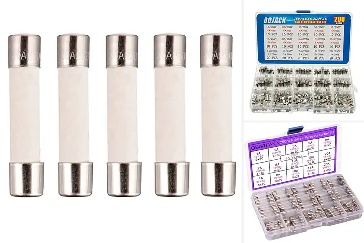 Detailed view of Best Appliance Fuses