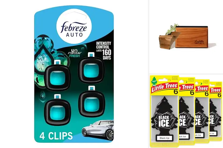 Detailed view of Best Car Air Fresheners