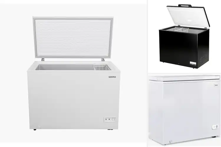Detailed view of Best Compact Chest Freezers 10 Cu Ft