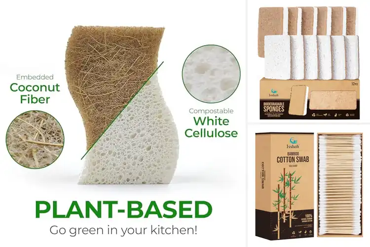 Detailed view of Best Eco-Friendly Products
