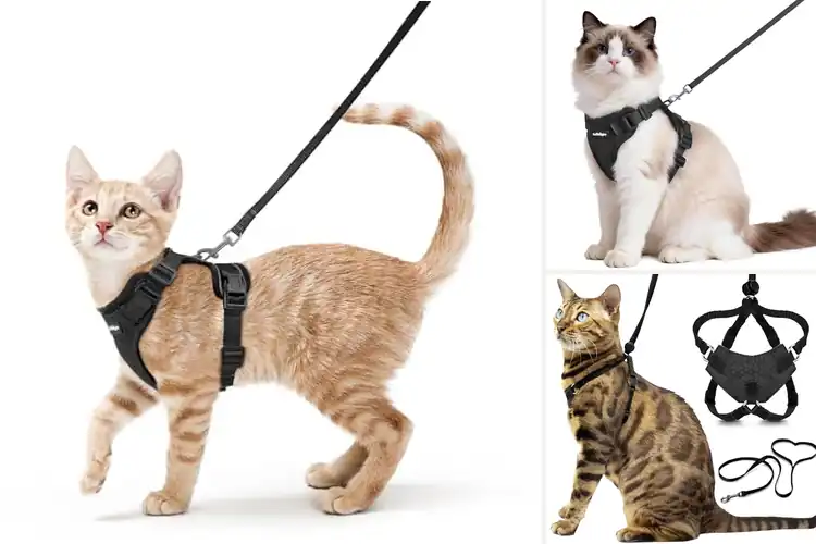 Detailed view of Best Escape Proof Cat Harnesses