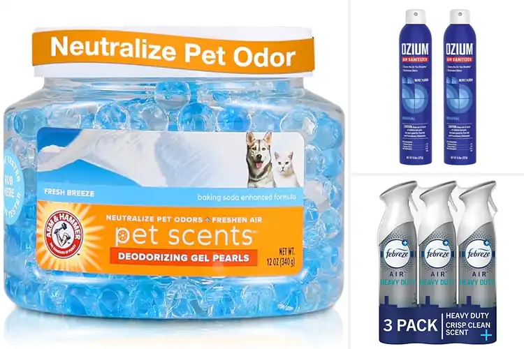 Detailed view of Best Odor Eliminating Air Fresheners
