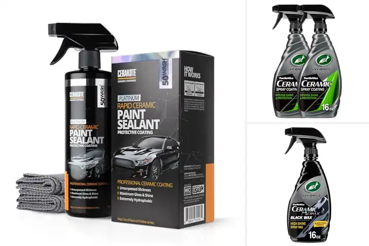 Detailed view of Best Paint Protection Sprays For Cars