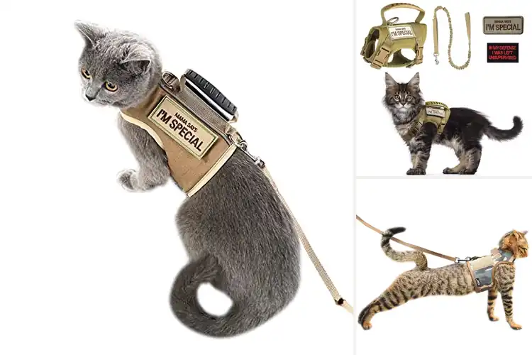 Detailed view of Best Tactical Cat Harnesses