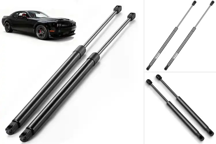 Detailed view of Best Trunk Lid Shocks